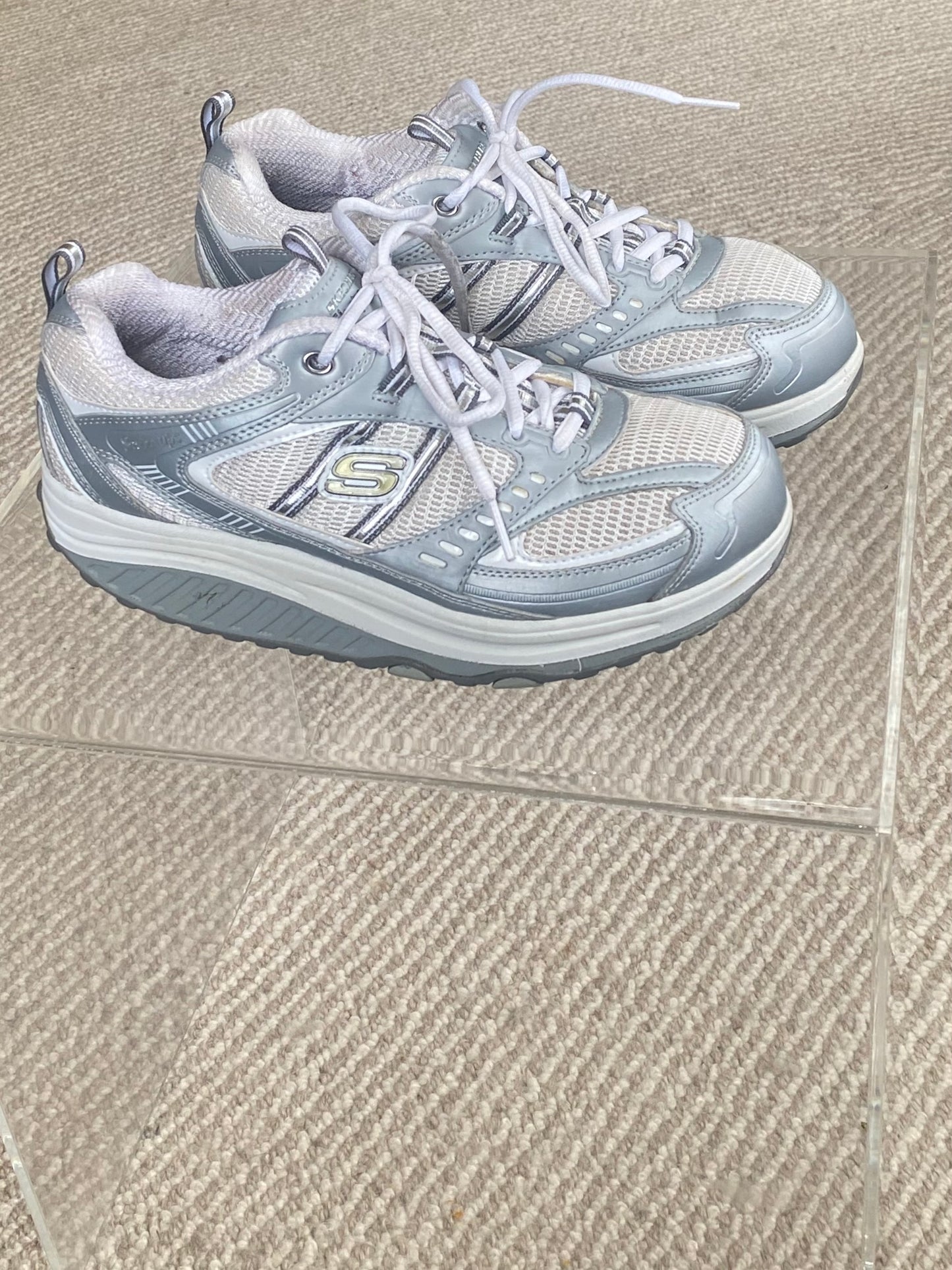Metallic Sketchers shape-ups